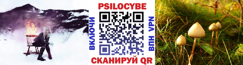 Псилоцибиновые грибы Magic Shrooms  наркота  Бузулук 